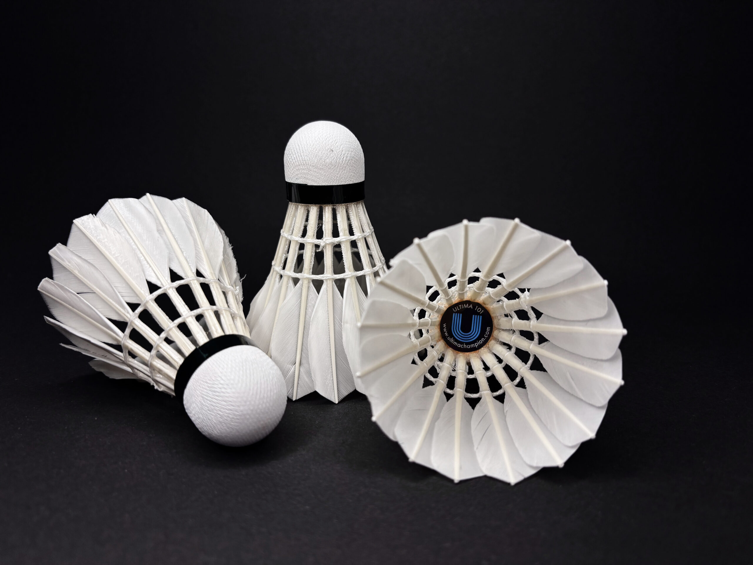 ULTIMA 101 - obrazek 3