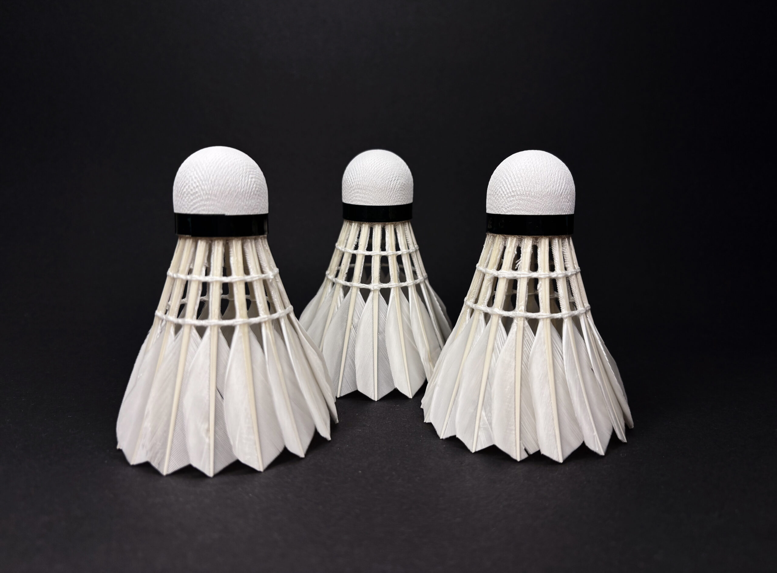 Zbliżenie na pióra lotki