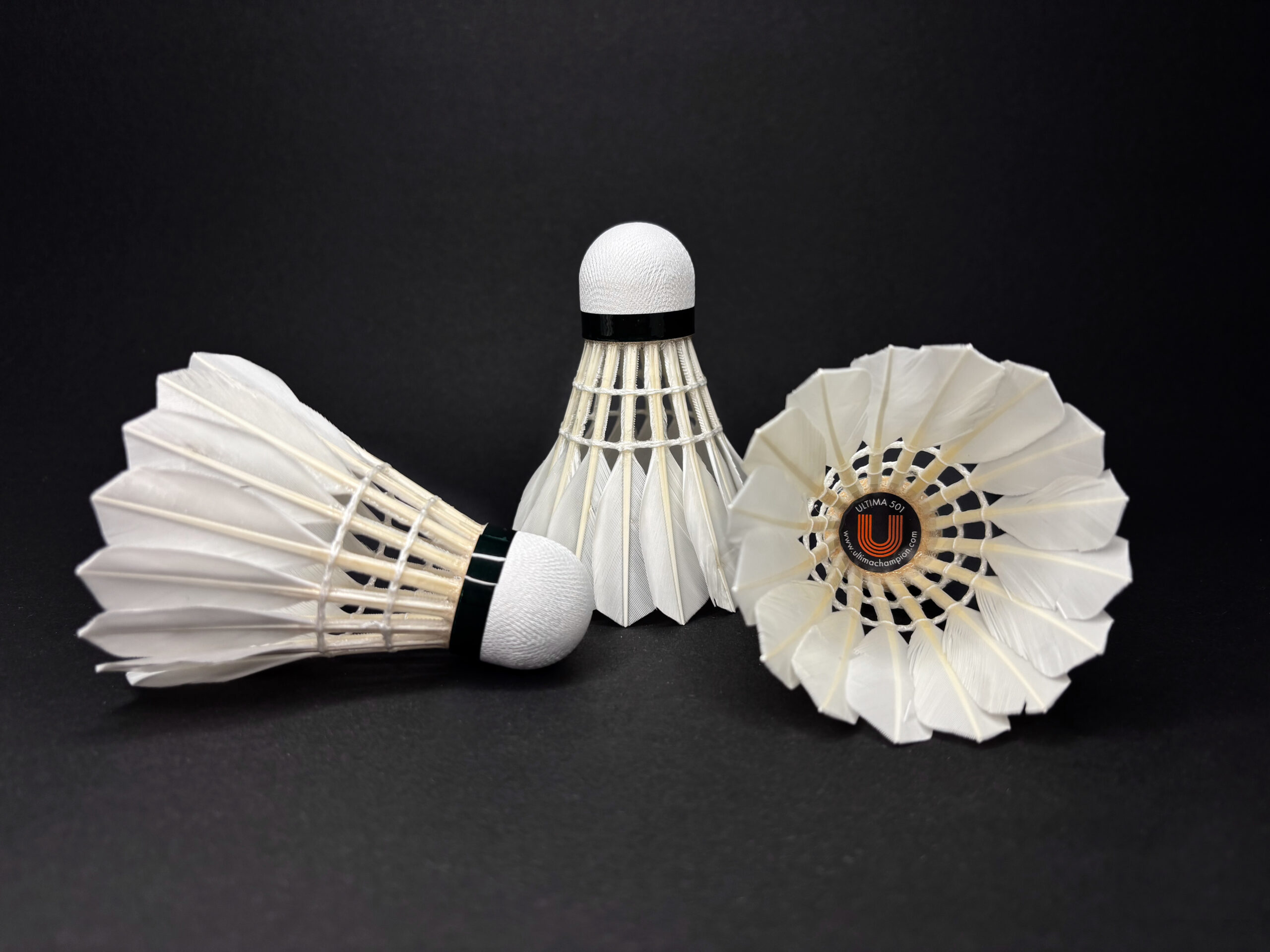 ULTIMA 501 - obrazek 3