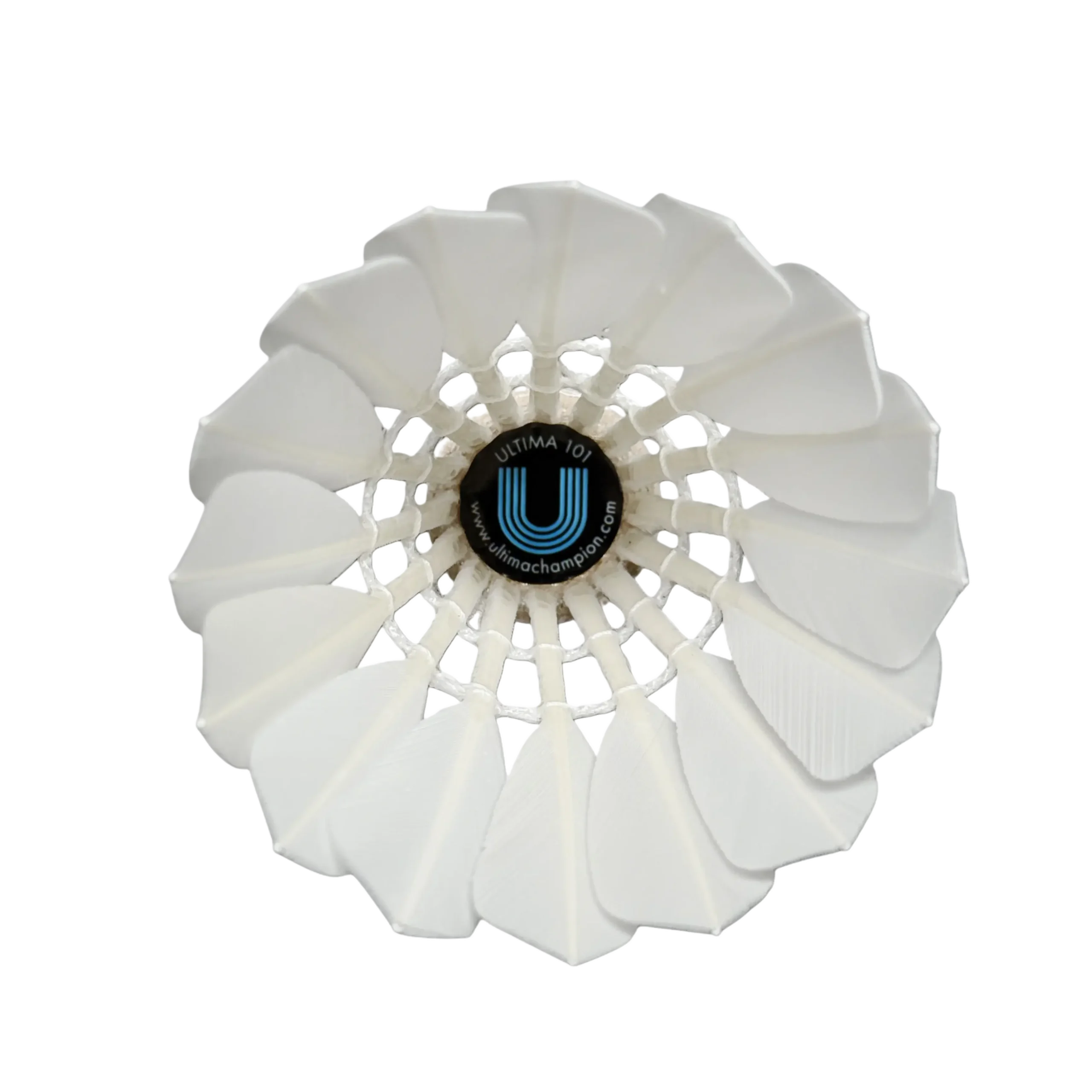 Zdjęcie lotki z bliska