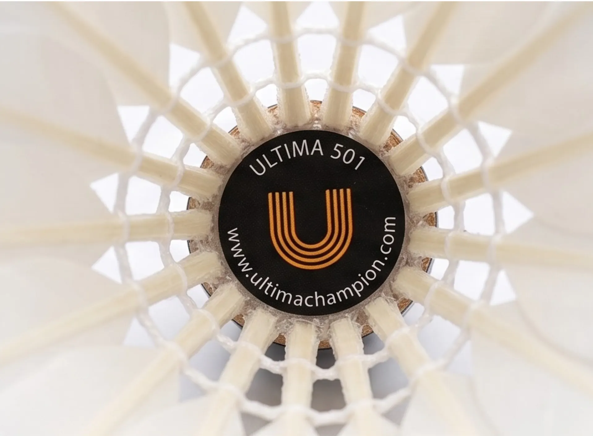 ULTIMA 501 - wersja 2.0 - obrazek 2
